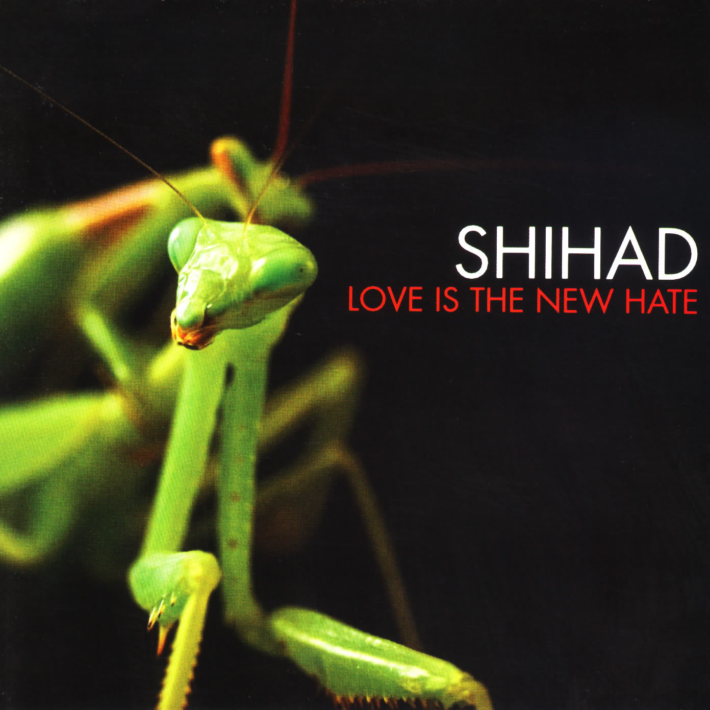 Love Is the New Hate cover art